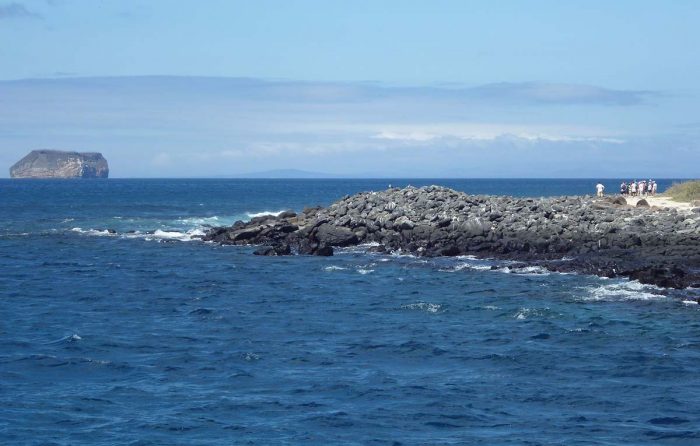North_Seymour_Island_in_the_Galapagos_about_to_land_on_shore_photo_by_Alvaro_Sevilla_Design copy